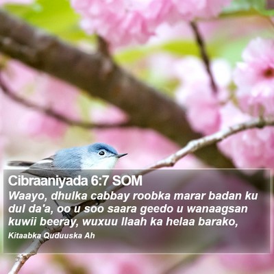 Cibraaniyada 6:7 SOM Bible Verse Image