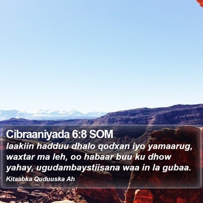 Cibraaniyada 6:8 SOM Bible Verse Image