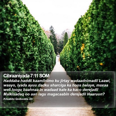Cibraaniyada 7:11 SOM Bible Verse Image