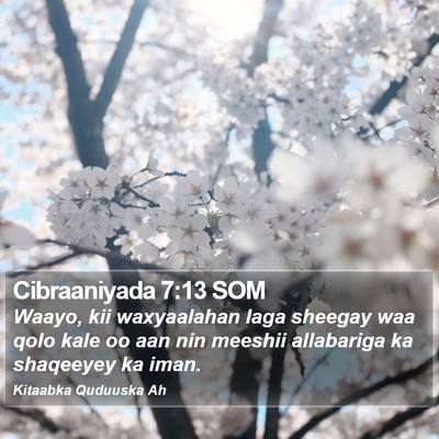 Cibraaniyada 7:13 SOM Bible Verse Image
