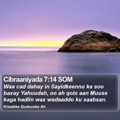 Cibraaniyada 7:14 SOM Bible Verse Image