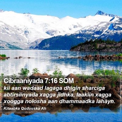 Cibraaniyada 7:16 SOM Bible Verse Image