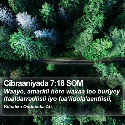 Cibraaniyada 7:18 SOM Bible Verse Image