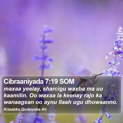Cibraaniyada 7:19 SOM Bible Verse Image