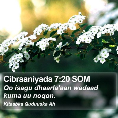 Cibraaniyada 7:20 SOM Bible Verse Image