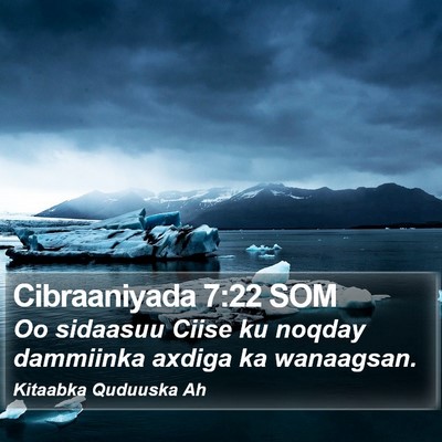 Cibraaniyada 7:22 SOM Bible Verse Image