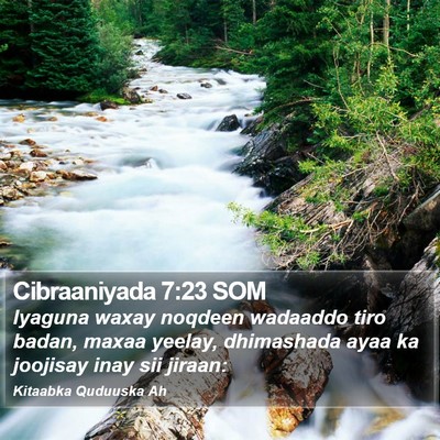 Cibraaniyada 7:23 SOM Bible Verse Image