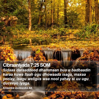 Cibraaniyada 7:25 SOM Bible Verse Image