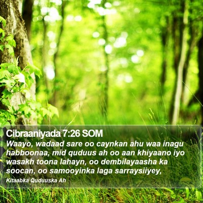 Cibraaniyada 7:26 SOM Bible Verse Image