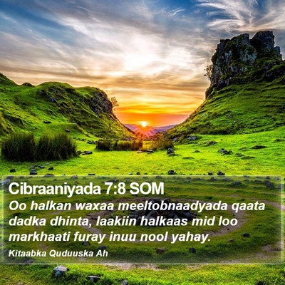 Cibraaniyada 7:8 SOM Bible Verse Image
