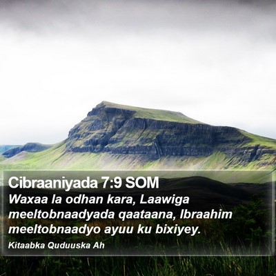 Cibraaniyada 7:9 SOM Bible Verse Image