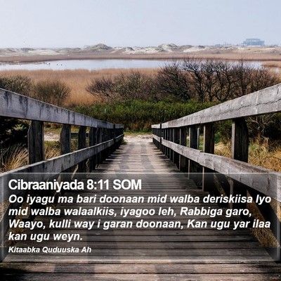 Cibraaniyada 8:11 SOM Bible Verse Image