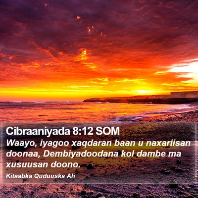 Cibraaniyada 8:12 SOM Bible Verse Image