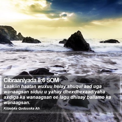 Cibraaniyada 8:6 SOM Bible Verse Image