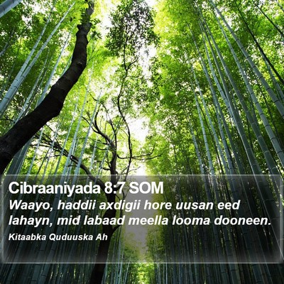 Cibraaniyada 8:7 SOM Bible Verse Image