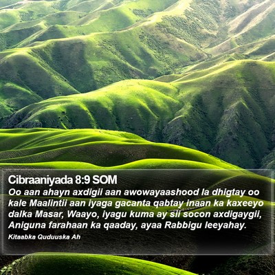 Cibraaniyada 8:9 SOM Bible Verse Image