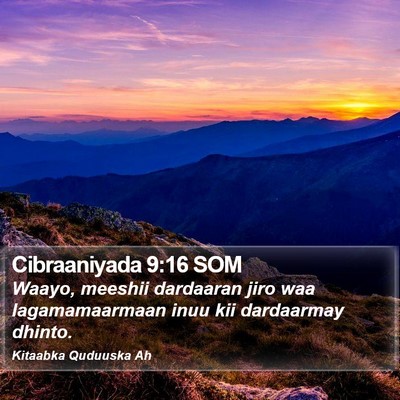 Cibraaniyada 9:16 SOM Bible Verse Image