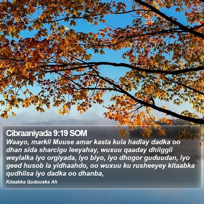 Cibraaniyada 9:19 SOM Bible Verse Image