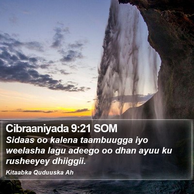 Cibraaniyada 9:21 SOM Bible Verse Image