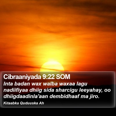 Cibraaniyada 9:22 SOM Bible Verse Image