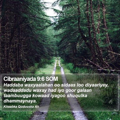 Cibraaniyada 9:6 SOM Bible Verse Image