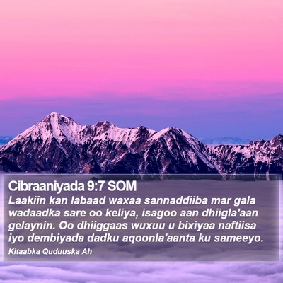 Cibraaniyada 9:7 SOM Bible Verse Image