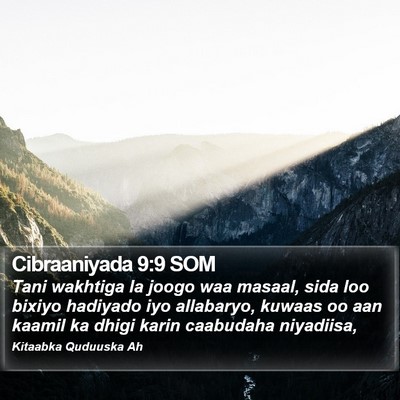 Cibraaniyada 9:9 SOM Bible Verse Image