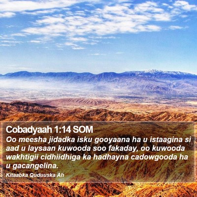 Cobadyaah 1:14 SOM Bible Verse Image