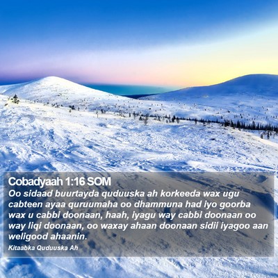 Cobadyaah 1:16 SOM Bible Verse Image