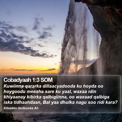 Cobadyaah 1:3 SOM Bible Verse Image