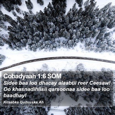 Cobadyaah 1:6 SOM Bible Verse Image