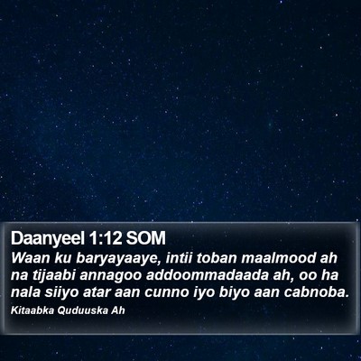 Daanyeel 1:12 SOM Bible Verse Image