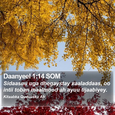 Daanyeel 1:14 SOM Bible Verse Image