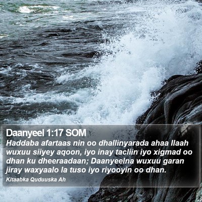 Daanyeel 1:17 SOM Bible Verse Image