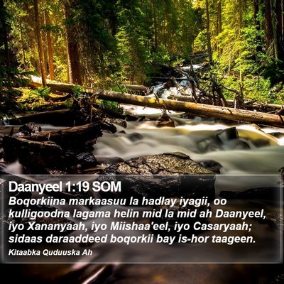 Daanyeel 1:19 SOM Bible Verse Image