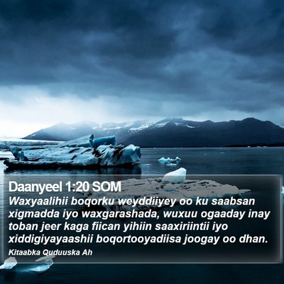 Daanyeel 1:20 SOM Bible Verse Image