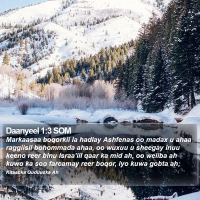 Daanyeel 1:3 SOM Bible Verse Image