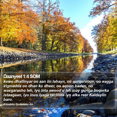 Daanyeel 1:4 SOM Bible Verse Image