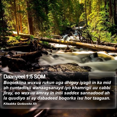 Daanyeel 1:5 SOM Bible Verse Image
