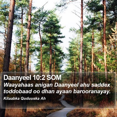 Daanyeel 10:2 SOM Bible Verse Image