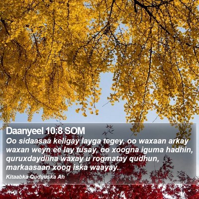 Daanyeel 10:8 SOM Bible Verse Image