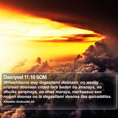 Daanyeel 11:10 SOM Bible Verse Image