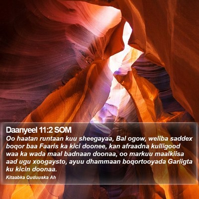 Daanyeel 11:2 SOM Bible Verse Image
