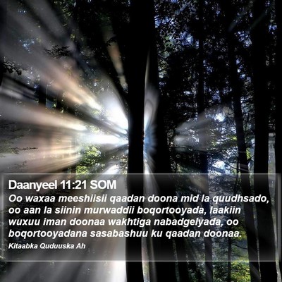 Daanyeel 11:21 SOM Bible Verse Image