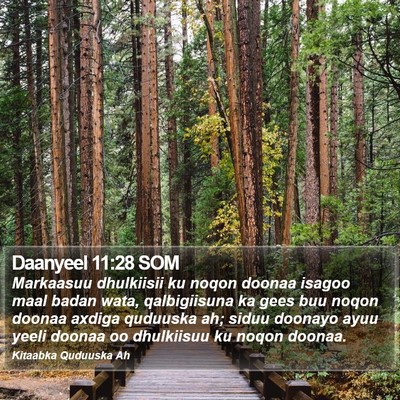 Daanyeel 11:28 SOM Bible Verse Image