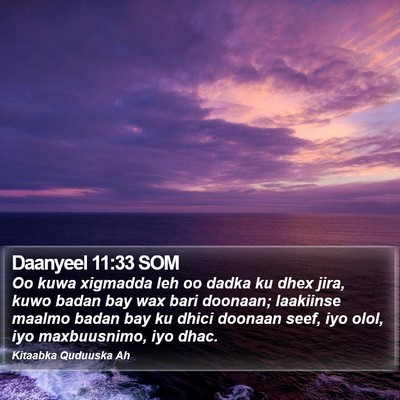 Daanyeel 11:33 SOM Bible Verse Image