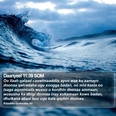 Daanyeel 11:39 SOM Bible Verse Image