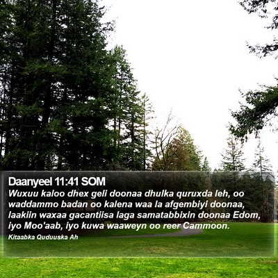 Daanyeel 11:41 SOM Bible Verse Image