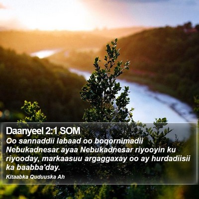 Daanyeel 2:1 SOM Bible Verse Image