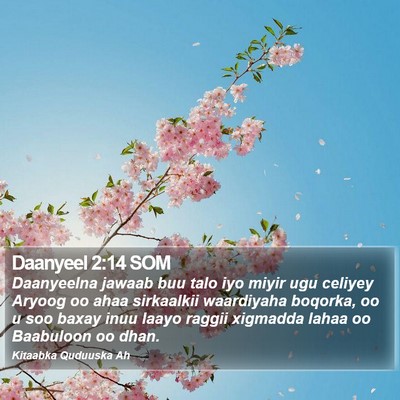Daanyeel 2:14 SOM Bible Verse Image